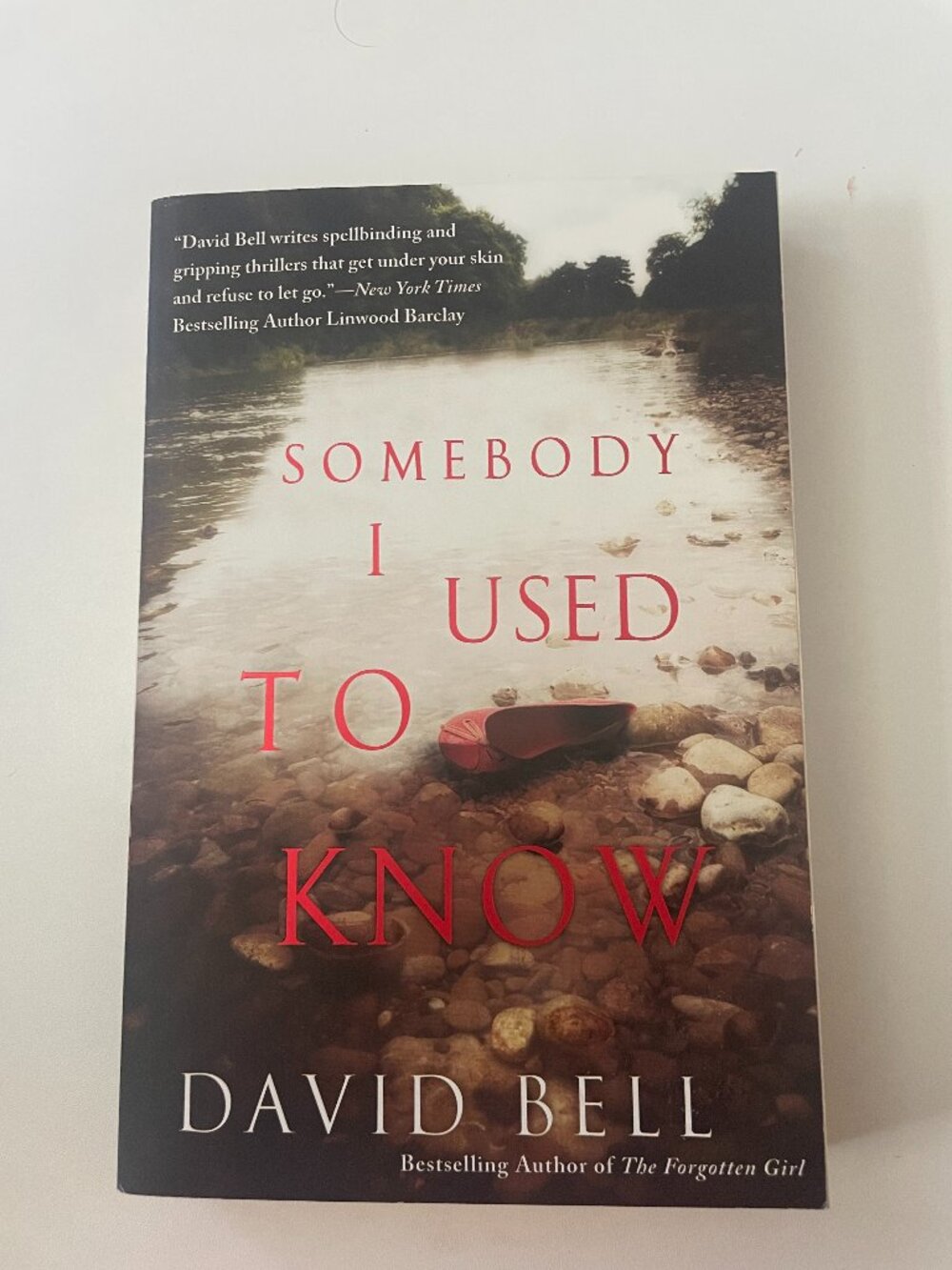 Somebody I Used to Know by David Bell (2015, Trade Paperback)